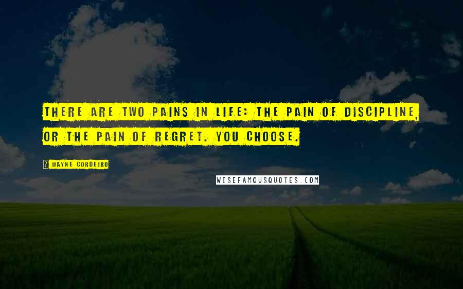 Wayne Cordeiro Quotes: There are two pains in life: the pain of discipline, or the pain of regret. You choose.