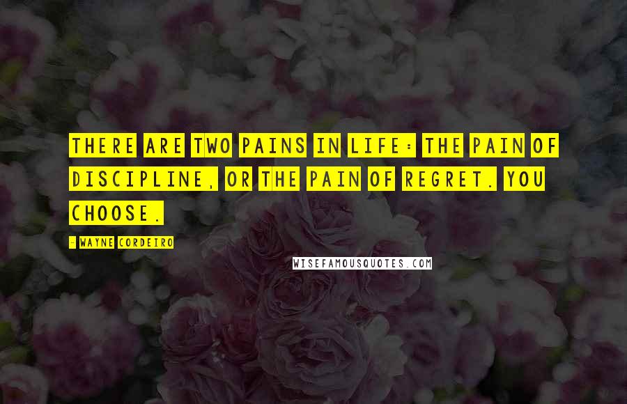 Wayne Cordeiro Quotes: There are two pains in life: the pain of discipline, or the pain of regret. You choose.