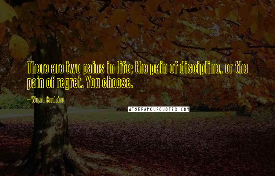 Wayne Cordeiro Quotes: There are two pains in life: the pain of discipline, or the pain of regret. You choose.