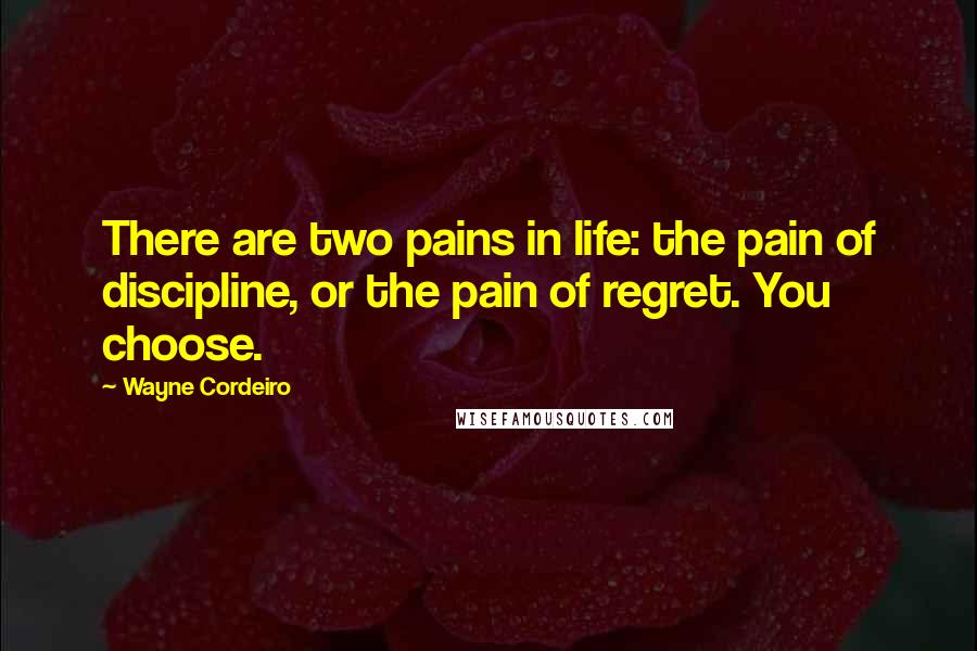 Wayne Cordeiro Quotes: There are two pains in life: the pain of discipline, or the pain of regret. You choose.