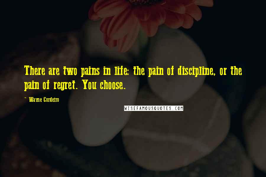 Wayne Cordeiro Quotes: There are two pains in life: the pain of discipline, or the pain of regret. You choose.