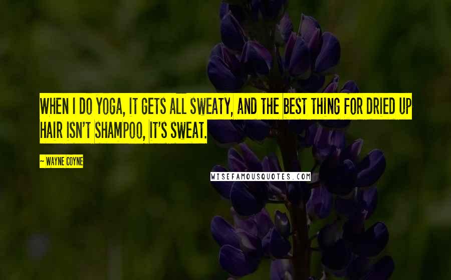 Wayne Coyne Quotes: When I do yoga, it gets all sweaty, and the best thing for dried up hair isn't shampoo, it's sweat.