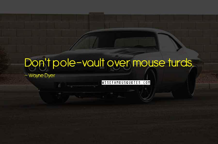 Wayne Dyer Quotes: Don't pole-vault over mouse turds.