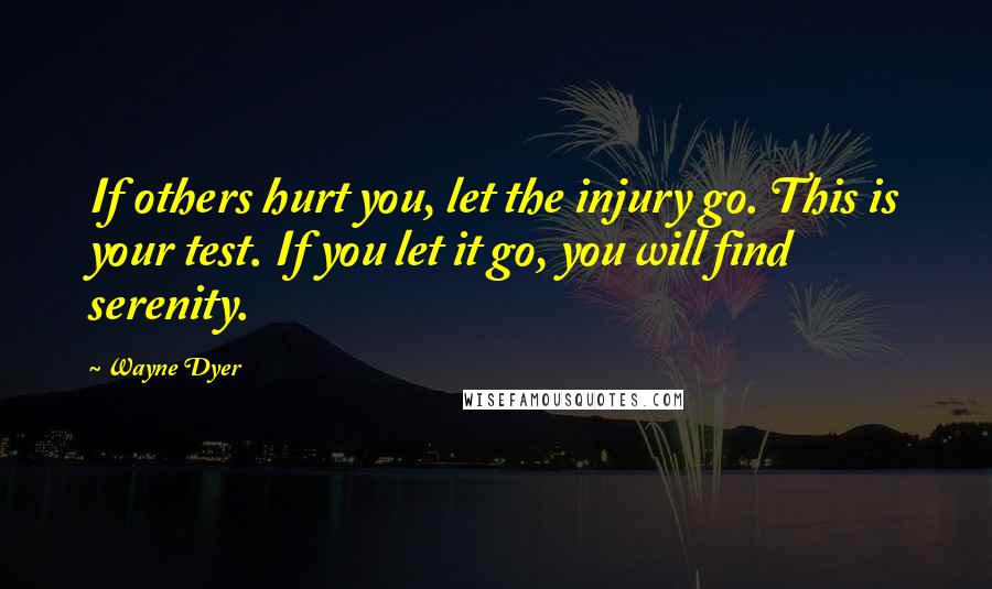 Wayne Dyer Quotes: If others hurt you, let the injury go. This is your test. If you let it go, you will find serenity.