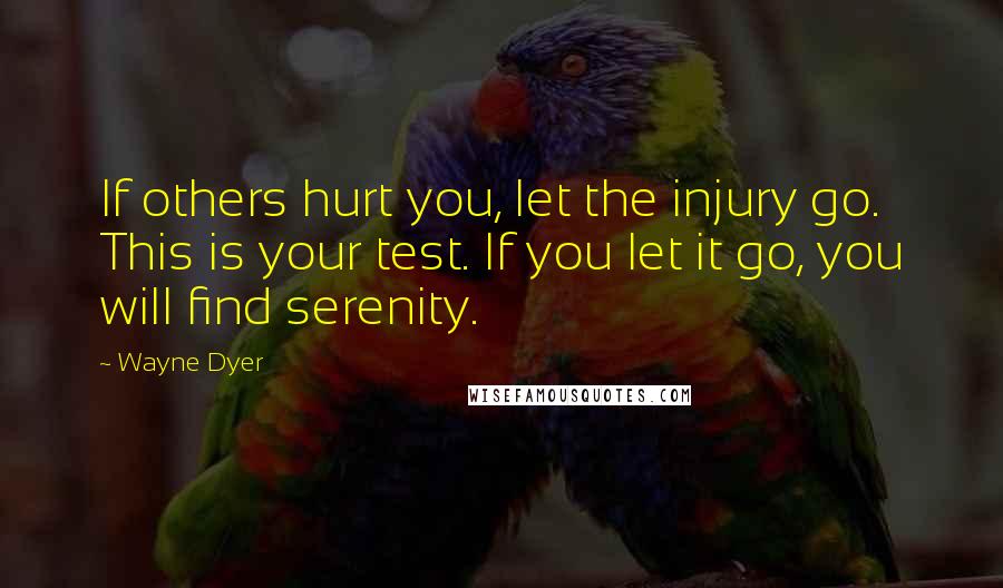 Wayne Dyer Quotes: If others hurt you, let the injury go. This is your test. If you let it go, you will find serenity.