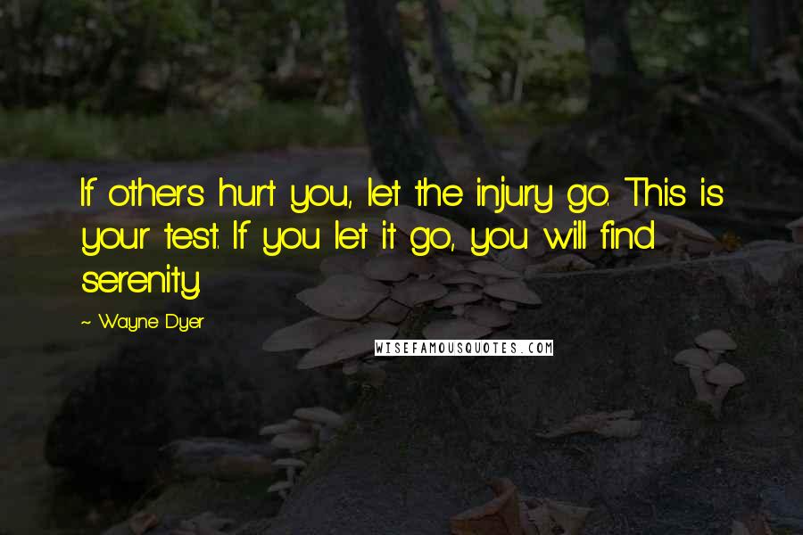 Wayne Dyer Quotes: If others hurt you, let the injury go. This is your test. If you let it go, you will find serenity.