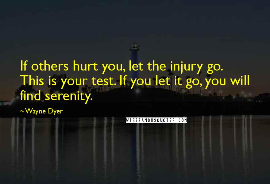 Wayne Dyer Quotes: If others hurt you, let the injury go. This is your test. If you let it go, you will find serenity.