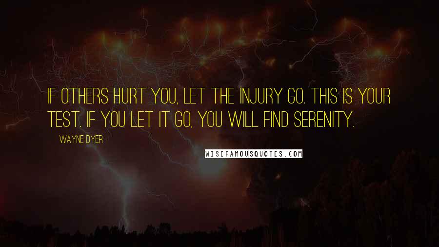 Wayne Dyer Quotes: If others hurt you, let the injury go. This is your test. If you let it go, you will find serenity.