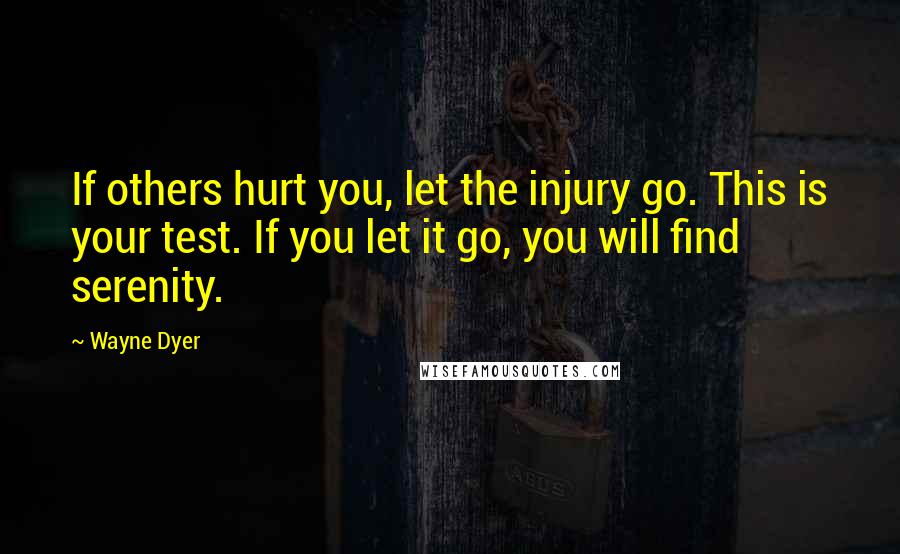 Wayne Dyer Quotes: If others hurt you, let the injury go. This is your test. If you let it go, you will find serenity.