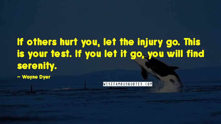 Wayne Dyer Quotes: If others hurt you, let the injury go. This is your test. If you let it go, you will find serenity.