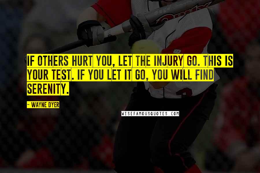 Wayne Dyer Quotes: If others hurt you, let the injury go. This is your test. If you let it go, you will find serenity.