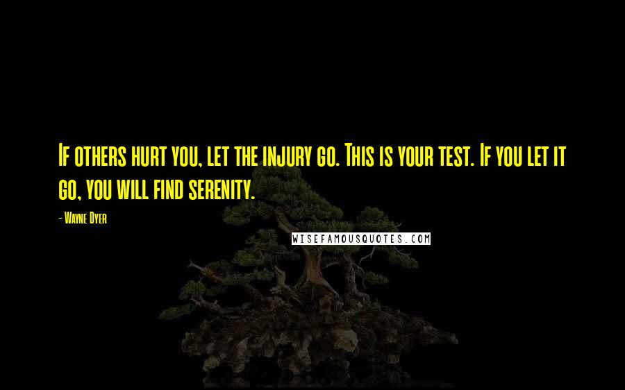Wayne Dyer Quotes: If others hurt you, let the injury go. This is your test. If you let it go, you will find serenity.