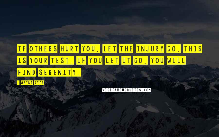Wayne Dyer Quotes: If others hurt you, let the injury go. This is your test. If you let it go, you will find serenity.
