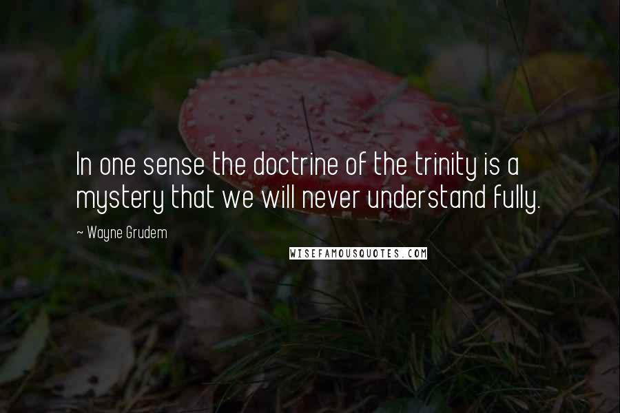 Wayne Grudem Quotes: In one sense the doctrine of the trinity is a mystery that we will never understand fully.