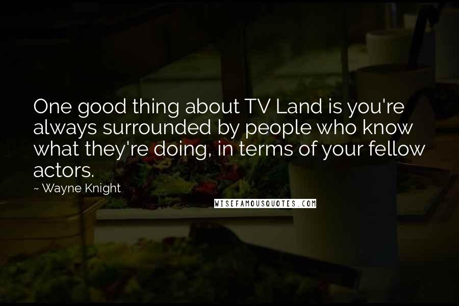 Wayne Knight Quotes: One good thing about TV Land is you're always surrounded by people who know what they're doing, in terms of your fellow actors.