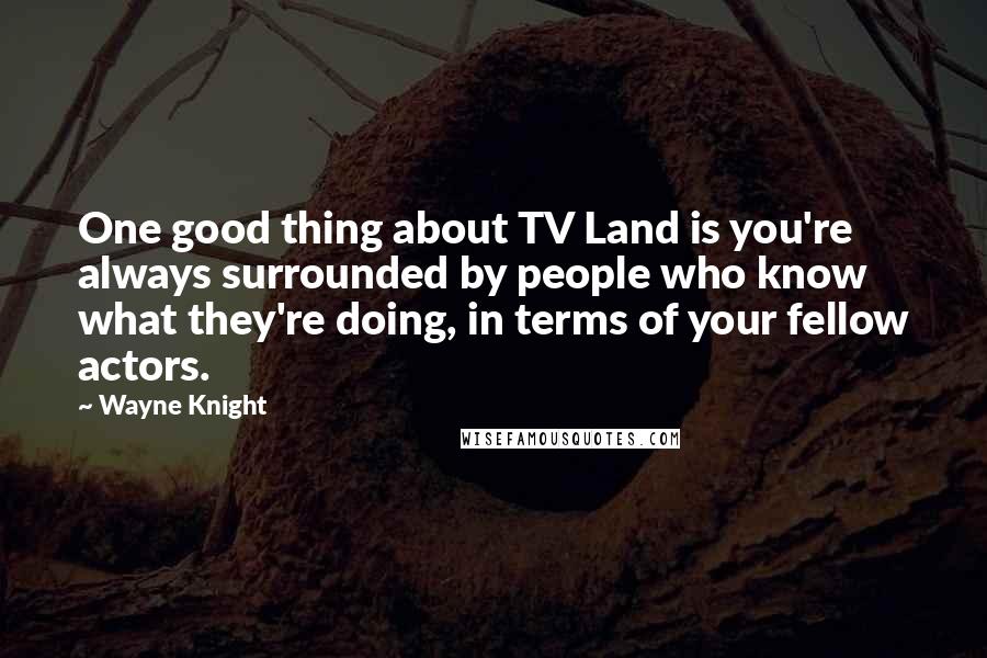 Wayne Knight Quotes: One good thing about TV Land is you're always surrounded by people who know what they're doing, in terms of your fellow actors.