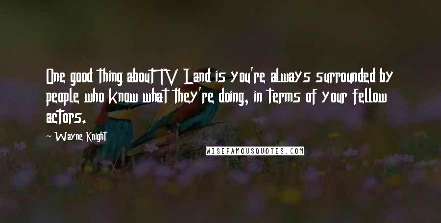 Wayne Knight Quotes: One good thing about TV Land is you're always surrounded by people who know what they're doing, in terms of your fellow actors.