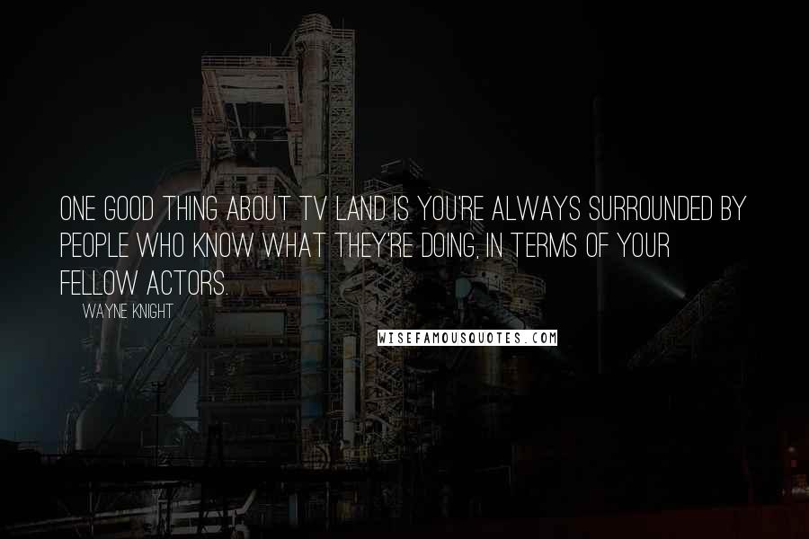 Wayne Knight Quotes: One good thing about TV Land is you're always surrounded by people who know what they're doing, in terms of your fellow actors.