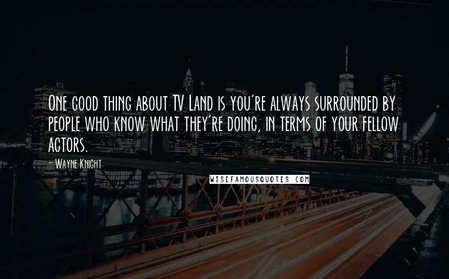 Wayne Knight Quotes: One good thing about TV Land is you're always surrounded by people who know what they're doing, in terms of your fellow actors.