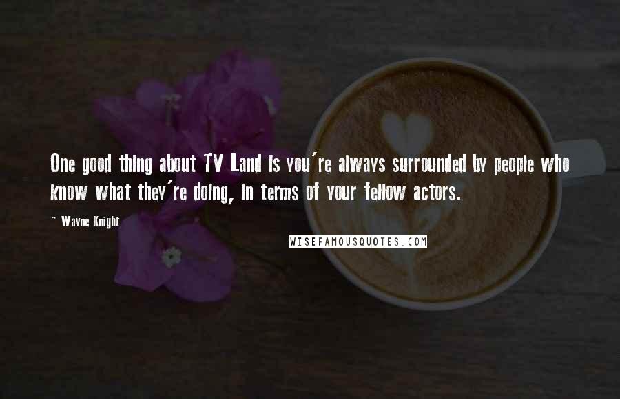 Wayne Knight Quotes: One good thing about TV Land is you're always surrounded by people who know what they're doing, in terms of your fellow actors.