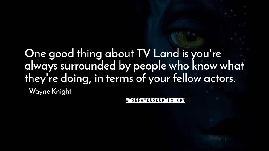 Wayne Knight Quotes: One good thing about TV Land is you're always surrounded by people who know what they're doing, in terms of your fellow actors.