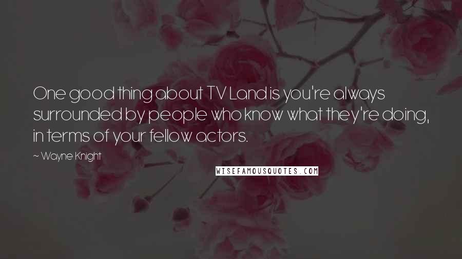 Wayne Knight Quotes: One good thing about TV Land is you're always surrounded by people who know what they're doing, in terms of your fellow actors.