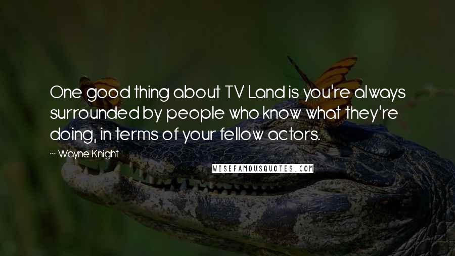 Wayne Knight Quotes: One good thing about TV Land is you're always surrounded by people who know what they're doing, in terms of your fellow actors.