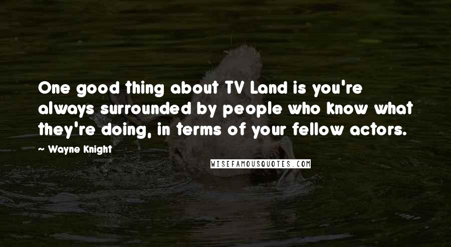 Wayne Knight Quotes: One good thing about TV Land is you're always surrounded by people who know what they're doing, in terms of your fellow actors.