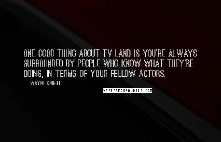 Wayne Knight Quotes: One good thing about TV Land is you're always surrounded by people who know what they're doing, in terms of your fellow actors.