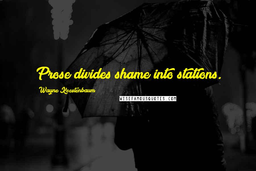 Wayne Koestenbaum Quotes: Prose divides shame into stations.