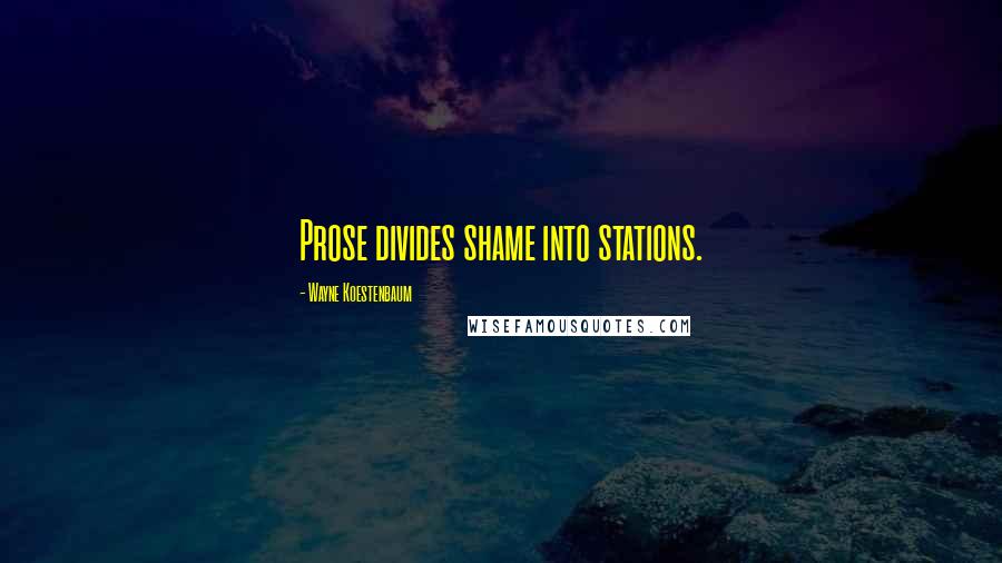 Wayne Koestenbaum Quotes: Prose divides shame into stations.