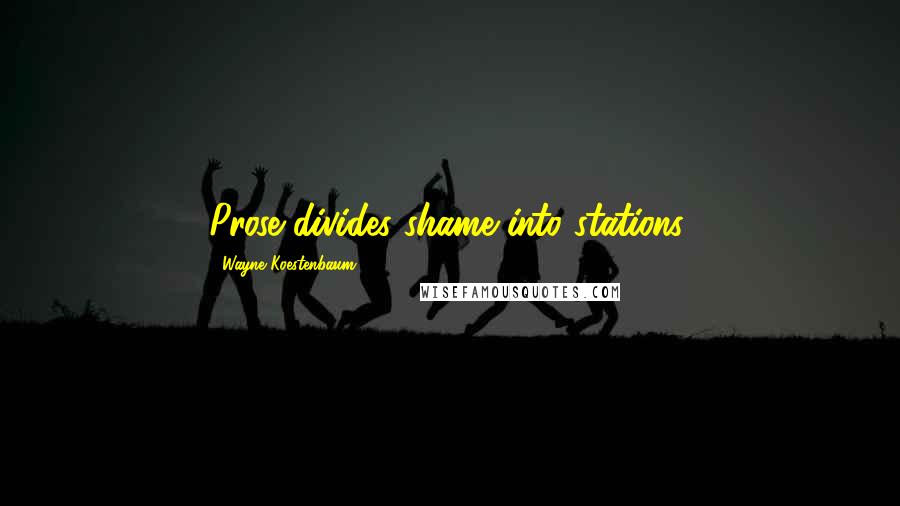 Wayne Koestenbaum Quotes: Prose divides shame into stations.