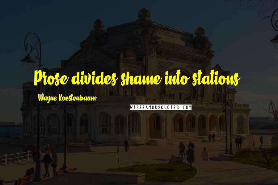 Wayne Koestenbaum Quotes: Prose divides shame into stations.