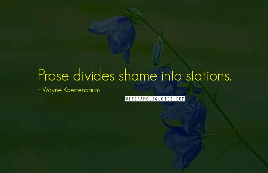 Wayne Koestenbaum Quotes: Prose divides shame into stations.