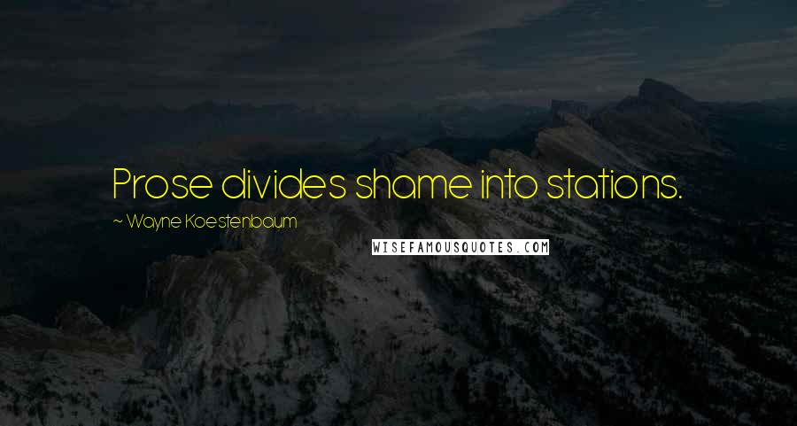 Wayne Koestenbaum Quotes: Prose divides shame into stations.