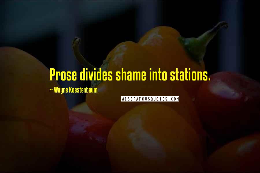 Wayne Koestenbaum Quotes: Prose divides shame into stations.