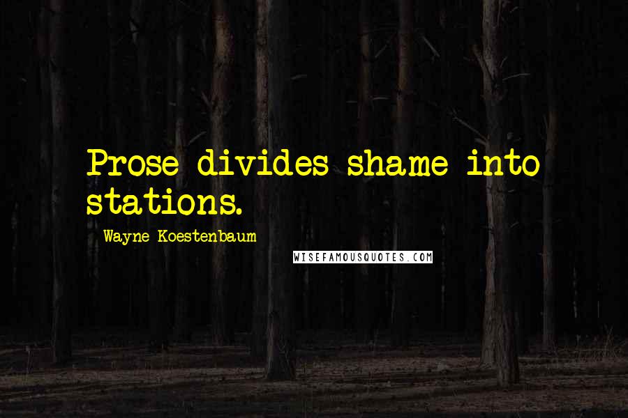 Wayne Koestenbaum Quotes: Prose divides shame into stations.