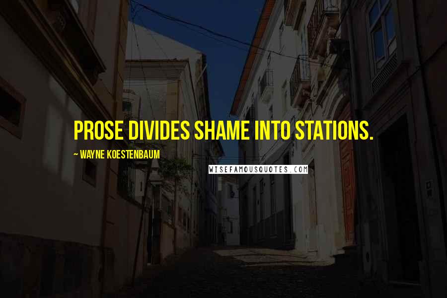 Wayne Koestenbaum Quotes: Prose divides shame into stations.