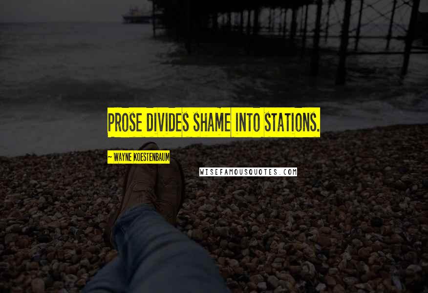 Wayne Koestenbaum Quotes: Prose divides shame into stations.