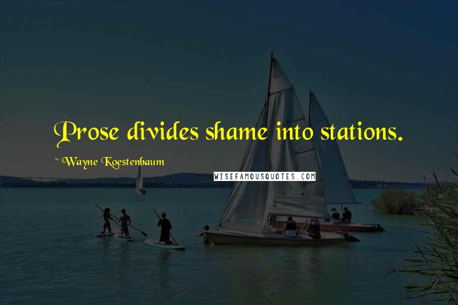 Wayne Koestenbaum Quotes: Prose divides shame into stations.