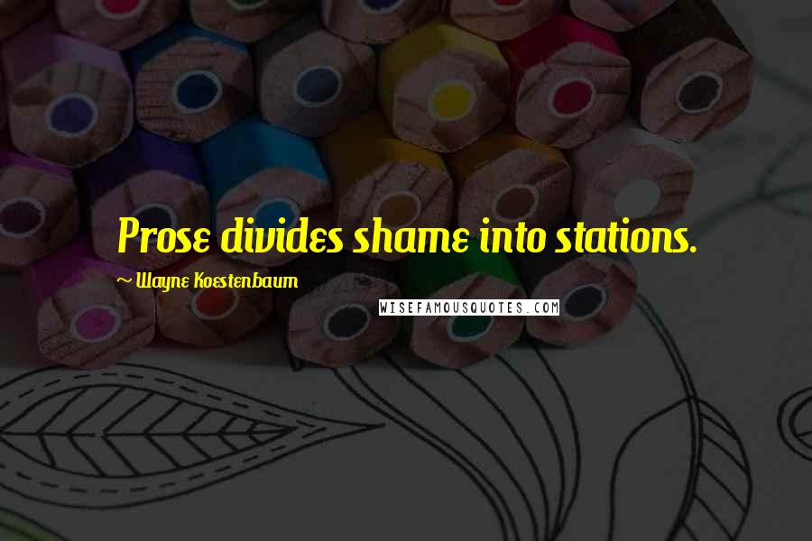 Wayne Koestenbaum Quotes: Prose divides shame into stations.