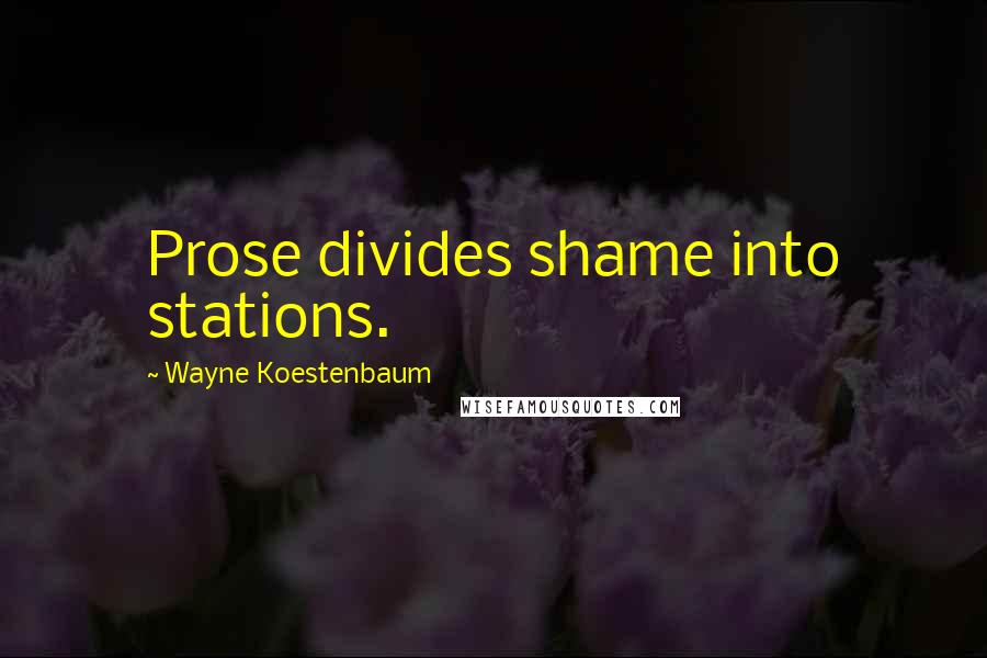 Wayne Koestenbaum Quotes: Prose divides shame into stations.