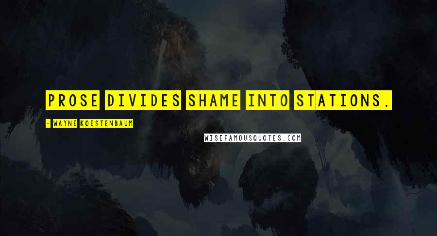 Wayne Koestenbaum Quotes: Prose divides shame into stations.