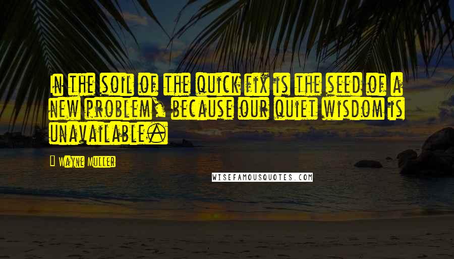 Wayne Muller Quotes: In the soil of the quick fix is the seed of a new problem, because our quiet wisdom is unavailable.