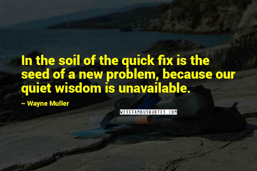 Wayne Muller Quotes: In the soil of the quick fix is the seed of a new problem, because our quiet wisdom is unavailable.