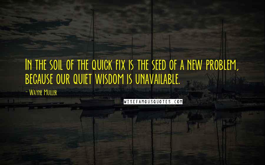 Wayne Muller Quotes: In the soil of the quick fix is the seed of a new problem, because our quiet wisdom is unavailable.