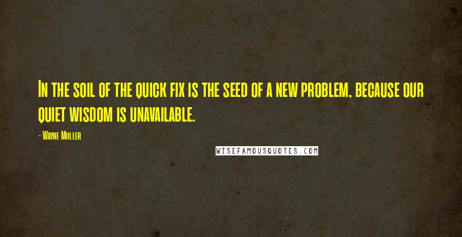 Wayne Muller Quotes: In the soil of the quick fix is the seed of a new problem, because our quiet wisdom is unavailable.