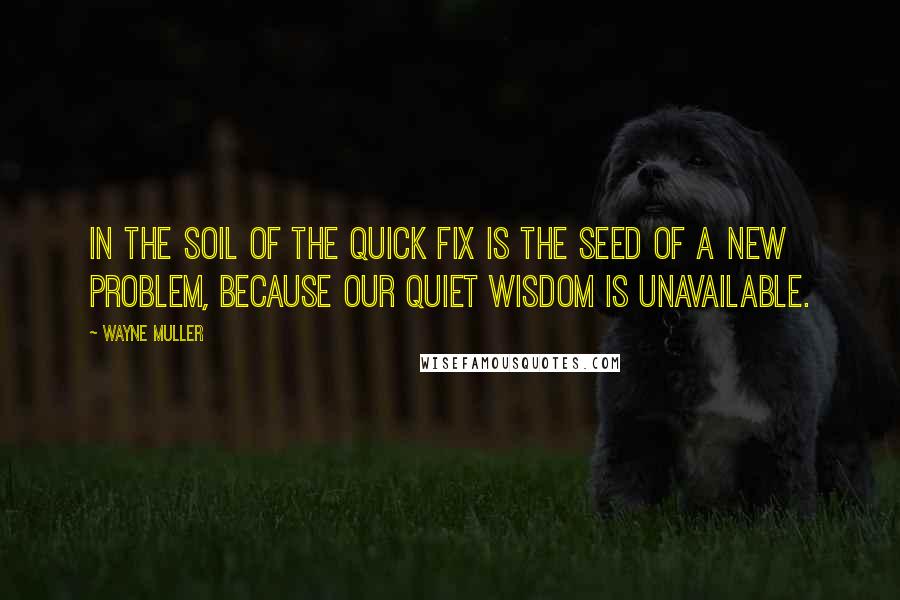 Wayne Muller Quotes: In the soil of the quick fix is the seed of a new problem, because our quiet wisdom is unavailable.