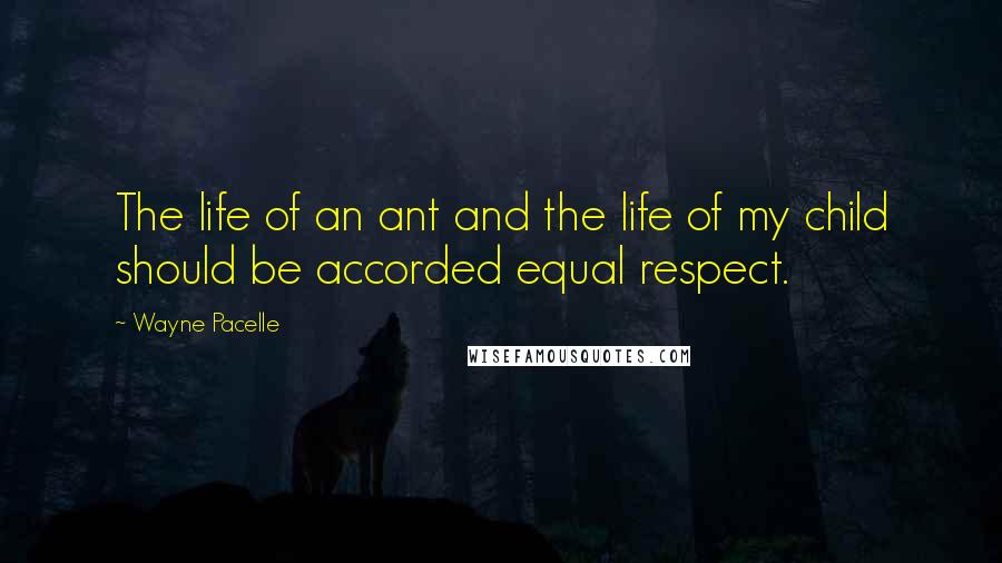 Wayne Pacelle Quotes: The life of an ant and the life of my child should be accorded equal respect.