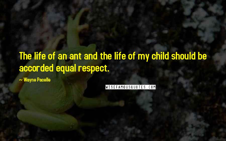 Wayne Pacelle Quotes: The life of an ant and the life of my child should be accorded equal respect.